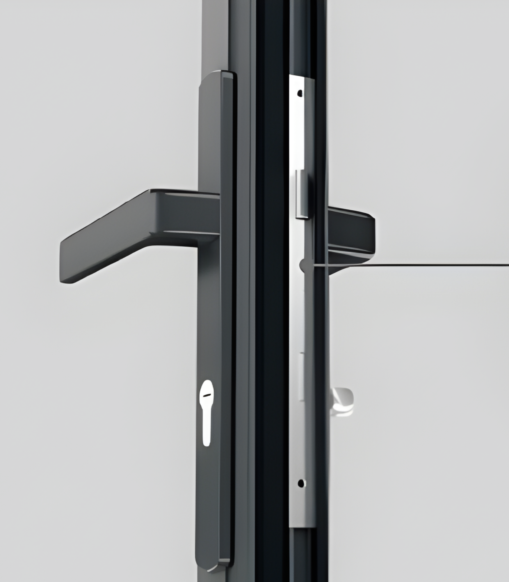 VLX 100 Swing / Entry Door in Houston, TX | Meridian Windows and Doors Houston - detail 5